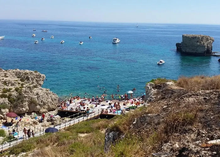 Al Ciliegio Bianco Syrakuzy